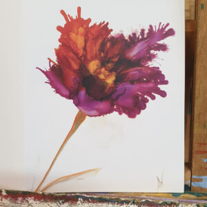 art cards. blank cards